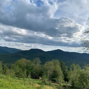 Meet your Posher, Judith